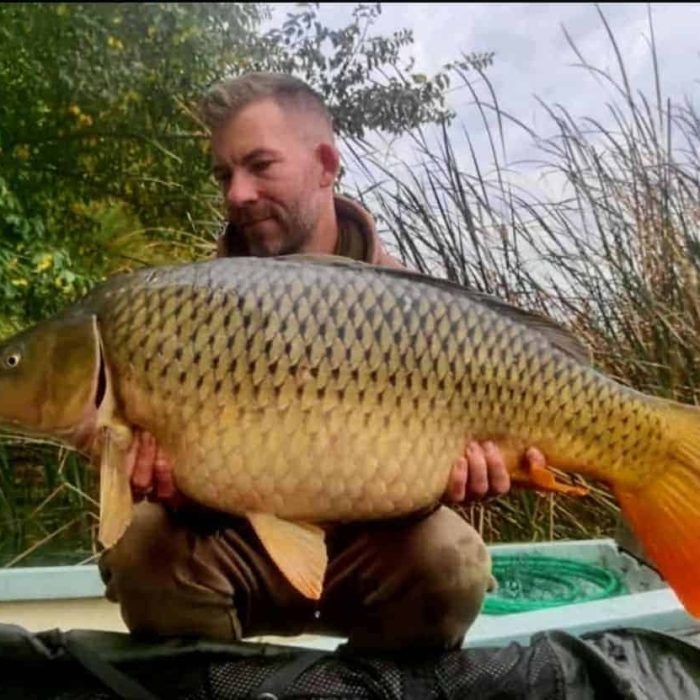 ccf78ffa-b69f-4ab5-837e-dc61db3c7179