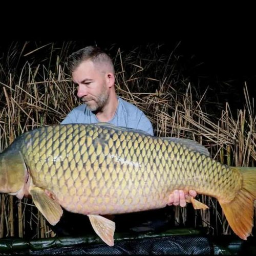 eb0d814e-d3c7-4f3d-9093-500292c9a271